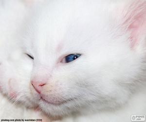 пазл Белый кот лицо
